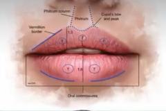 WhatsApp-Image-2025-12-08-at-12.14.20-PM